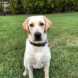 Meet your Posher, Ellen